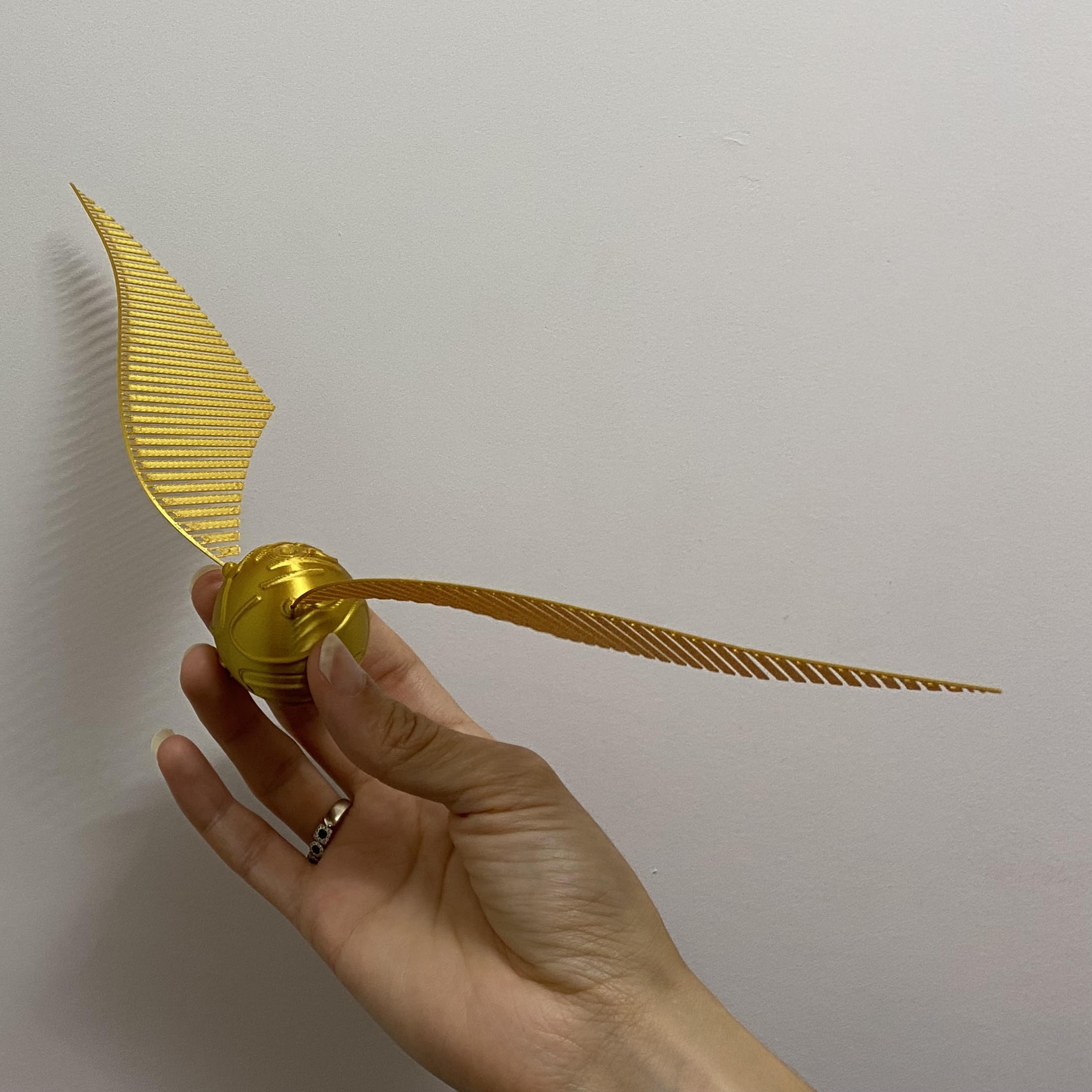 Pomo de Ouro com asas flexíveis